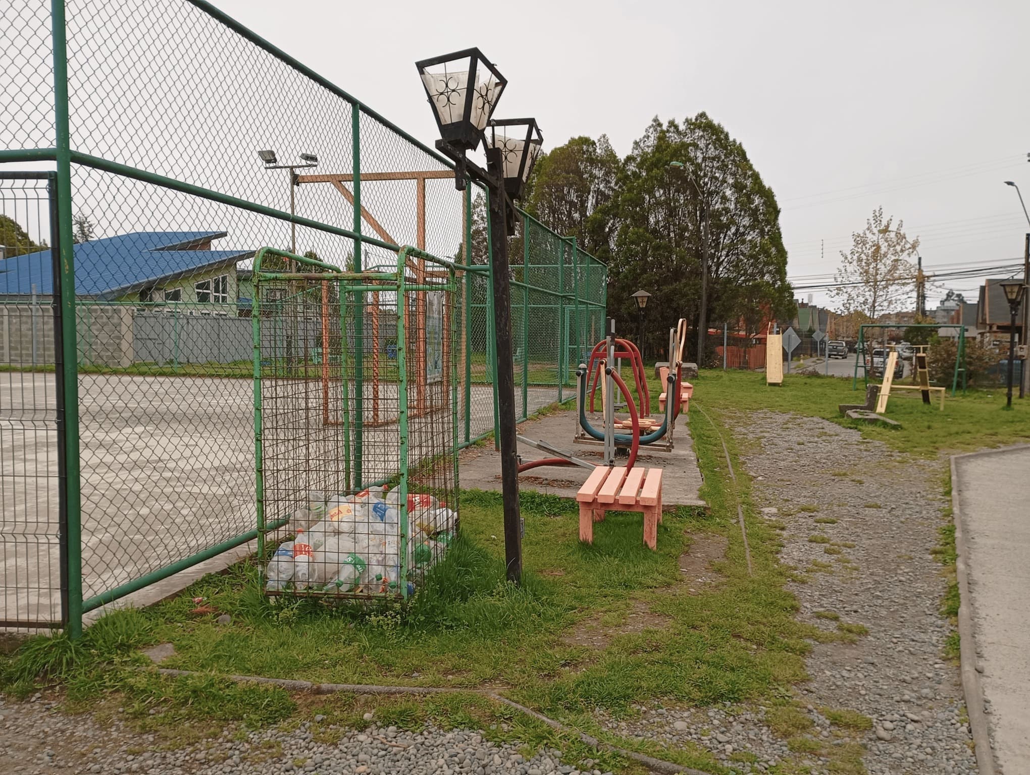 Actividades Escolares